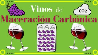 Vinos de MACERACIÓN CARBÓNICA 🍇 Elaboración tipos y zonas [upl. by Swetiana]