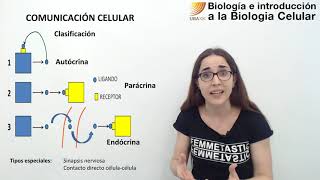 49 Biología celular Señalización celular [upl. by Carlynn]