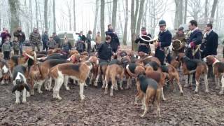 Curée venerie Cheverny Trompes de chasse [upl. by Adnuahsal]