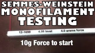 How to Perform the Semmes Weinstein Monofilament Test  Ohio University  Anatomy [upl. by Nagek190]