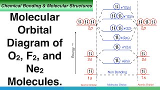 Molecular Orbital Diagram of O2 F2 and Ne2 Molecules [upl. by Kahn282]