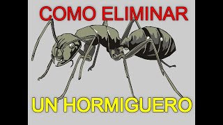 COMO ELIMINAR UN HORMIGUERO DEFINITIVAMENTE [upl. by Lelah705]