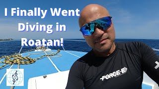 What is Like to Dive in Roatan [upl. by Anatniuq374]