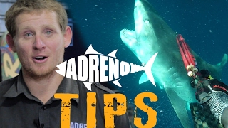 Spearfishing with Sharks Tigers White Pointers Bullsharks  ADRENO [upl. by Tudela]