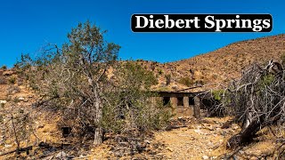 A Hermits Hidden Oasis in the Nevada Desert [upl. by Stieglitz]