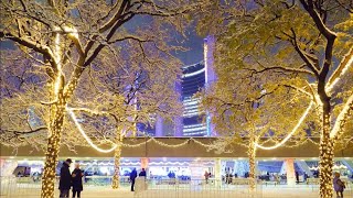 Toronto Holiday Christmas Lights and Skating at City Hall After Snowfall [upl. by Notniuqal]