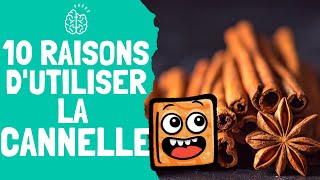 10 RAISONS DUTILISER LA CANNELLE 🍪 [upl. by Mlehliw795]