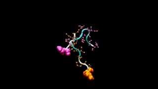 Molecular Dynamics Simulation of self assembling Peptide in gromacs [upl. by Dj]