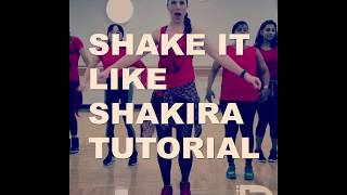 Shake it like Shakira Tutorial  DanceFit University [upl. by Ilhsa391]