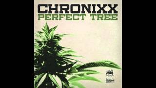 Chronixx  Perfect Tree Official Audio [upl. by Theresita]