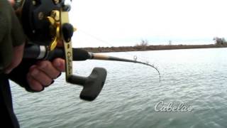 Cabelas DepthMaster Trolling Rods [upl. by Sosthena674]