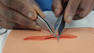 Forceps and Scissors Handling [upl. by Reagen]