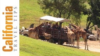 San Diego Zoo Safari Park  Wild Animal Park  California Travel Tips [upl. by Ardnassac490]