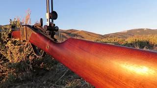 Most Affordable quotQualityquot 1874 Sharps Rifle  Preview [upl. by Adria]