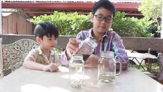 Water Bleach and Povidone Iodine Experiment [upl. by Aihsenet]