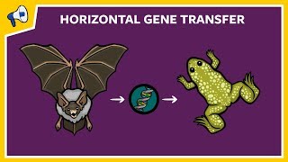 What is Horizontal Gene Transfer [upl. by Oniuqa83]