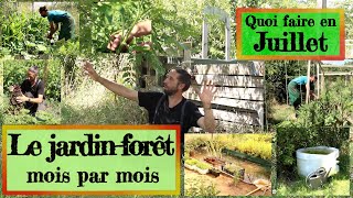 Jardinforêt en Permaculture Que faire en juillet [upl. by Einahpehs]