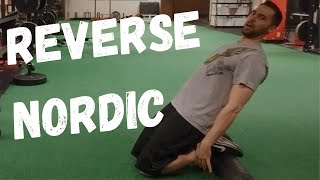 Reverse Nordic Exercise Beginner to Advanced [upl. by Iral]