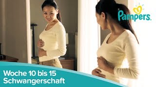 Schwangerschaftswoche 10 bis 15  Anzeichen und Symptome  Pampers [upl. by Ebert]