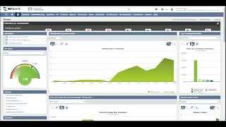 NetSuite Overview and Demo [upl. by Evets]