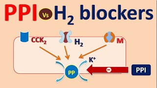 Proton pump inhibitors PPI vs H2 blockers [upl. by Gross889]