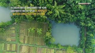 How a farmer turned 90 acres of wasteland into a lush green forest in Odisha [upl. by Nallid3]