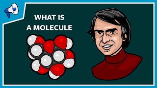 What Is a Molecule [upl. by Hareema228]