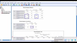 PairedSample ttest 2 Effect size [upl. by Gil947]