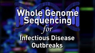 Whole Genome Sequencing for Infectious Disease Outbreaks [upl. by Pelpel]