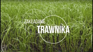 Zakładanie trawnika — 10 prostych kroków [upl. by Lesslie]