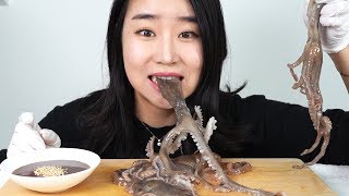 혐오주의 산낙지 통채로 먹방 mukbang [upl. by Sholem]