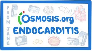 Clinicians Corner Endocarditis [upl. by Corette233]