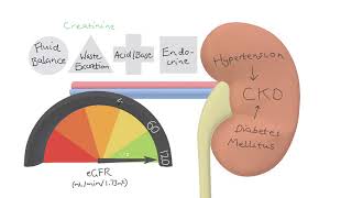 CKD Made Simple  Chronic Kidney Disease Symptoms Causes Investigations [upl. by Aleahc]