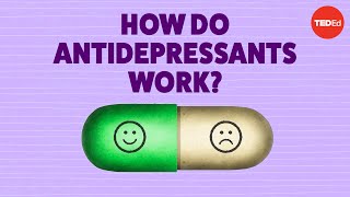 How do antidepressants work  Neil R Jeyasingam [upl. by Latnahc45]