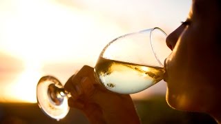 A winelovers guide to Pinot Grigio  The World of Wine [upl. by Elicul]