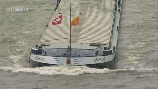 Doku Leben auf dem Fluss  Vom Rhein zur Donau HD [upl. by Wiley]