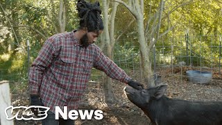 The Young Black Farmers Defying A Legacy of Discrimination [upl. by Oflodur313]