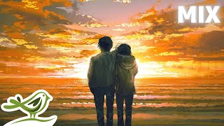 1 Hour Of The Most Beautiful Emotional Orchestral Music [upl. by Ysabel624]