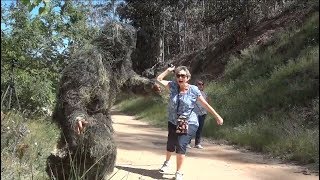 BIGFOOT SCARE PRANK [upl. by Rae]