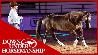 Clinton Anderson with his amazing horse quotMindyquot in Vegas 2010 [upl. by Marzi]