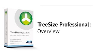 TreeSize Professional  Overview [upl. by Asina]