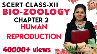 SCERT Class 12 Zoology Chapter 2 Human Reproduction  Tamil [upl. by Lucine]