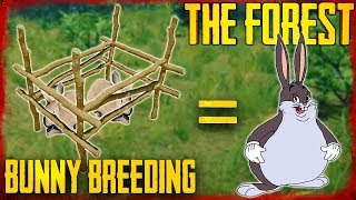 HOW TO BREED RABBITS  The Forest [upl. by Yuk]