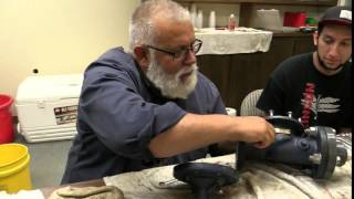 How to Repair a CLAVAL with Richard Daigle [upl. by Morita]