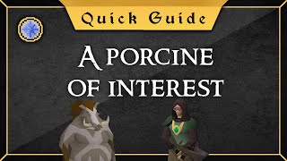 Quest guide A porcine of interest [upl. by Parish]