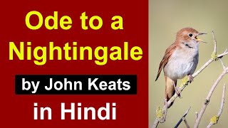 Ode to a Nightingale in Hindi  poem by John Keats  Complete summary and analysis [upl. by Aharon]