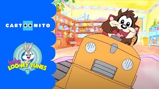 Baby Looney Tunes  Cheeky Taz  Cartoonito UK [upl. by Pickard]