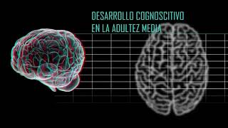 Desarrollo En La Adultez Media [upl. by Abrahamsen454]