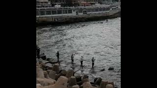 EGYPT مصر  Alexandria Corniche [upl. by Nair796]