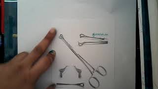 Babcock forceps  Obstetrics [upl. by Johanna]